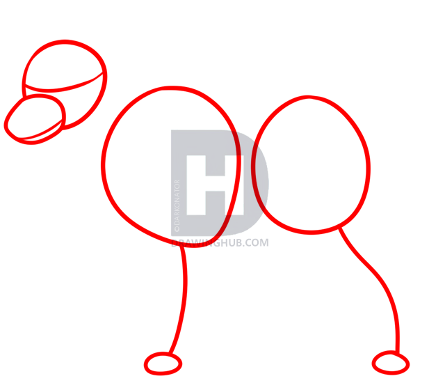 640x560 Realistic Wolf Sketch Drawing Tutorial, Step