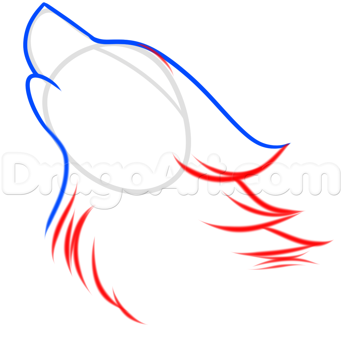 1191x1259 How To Draw A Wolf Spirit Step How To Draw