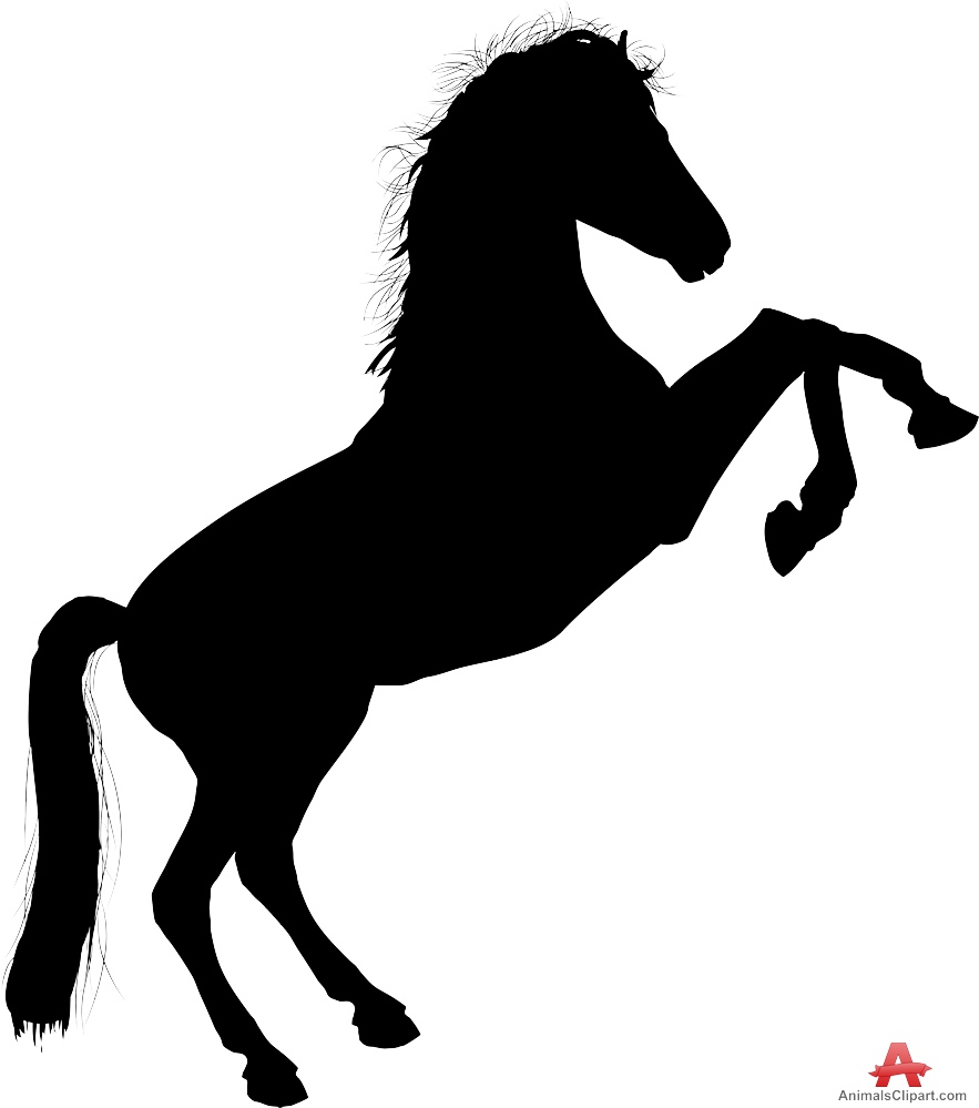 883x999 huge collection of 'horse on hind legs drawing' download more