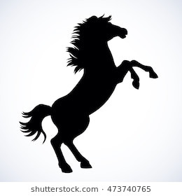 260x280 Rearing Horse Drawing Step