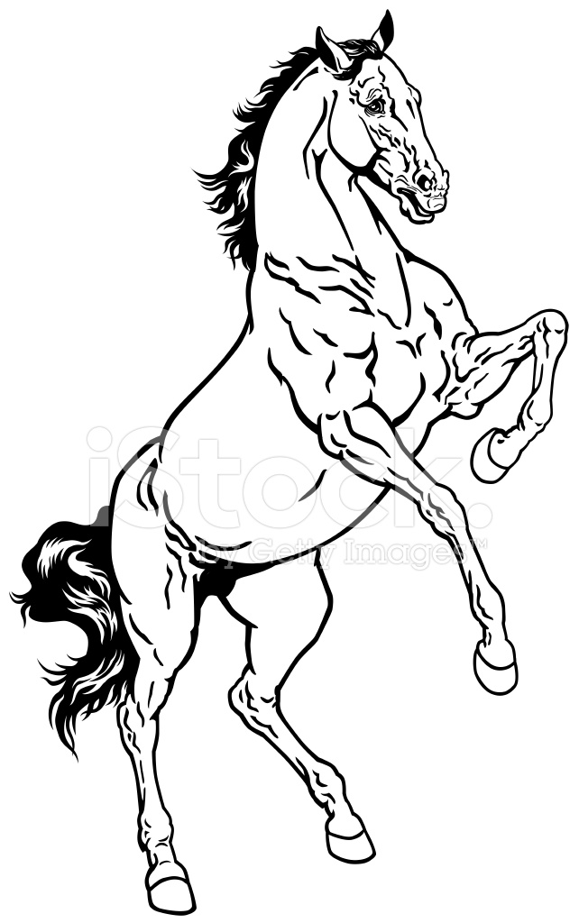 642x1024 Rearing Horse Stock Vector