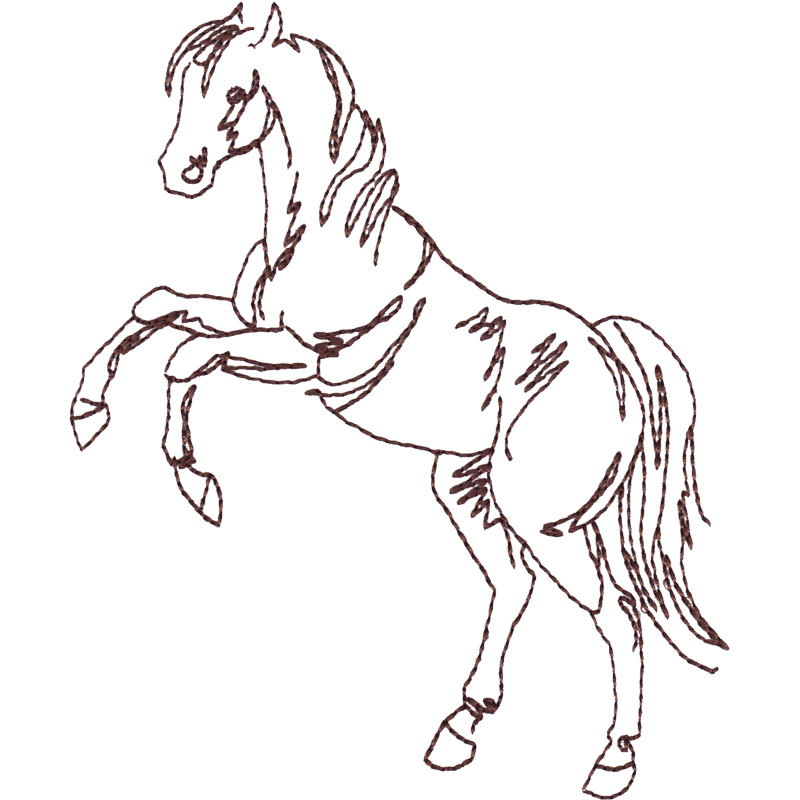 800x800 Rearing Horse