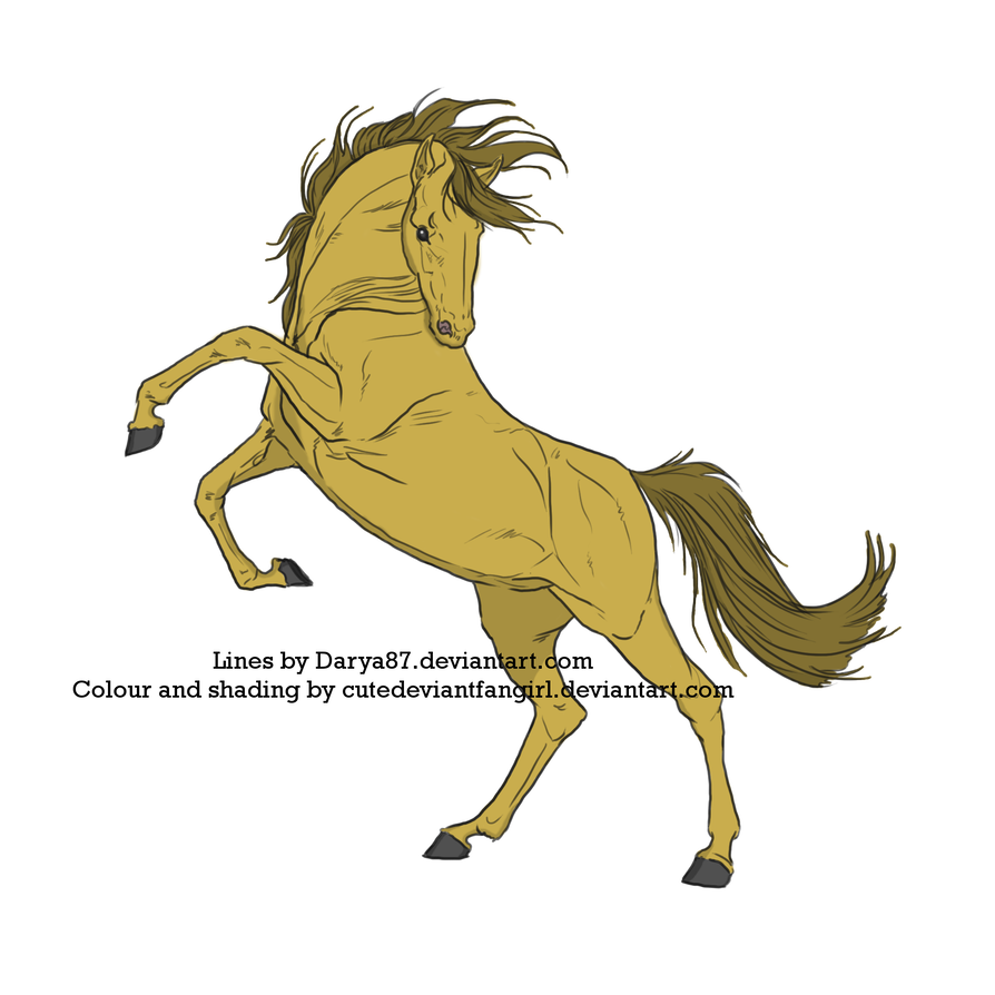 894x894 Colour Practice Rearing Horse