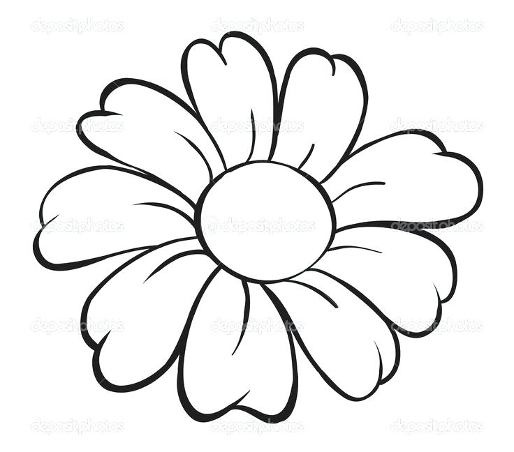 736x648 Easy Sketches Of Flowers Best Drawing Drawing Ideas Easy Flowers