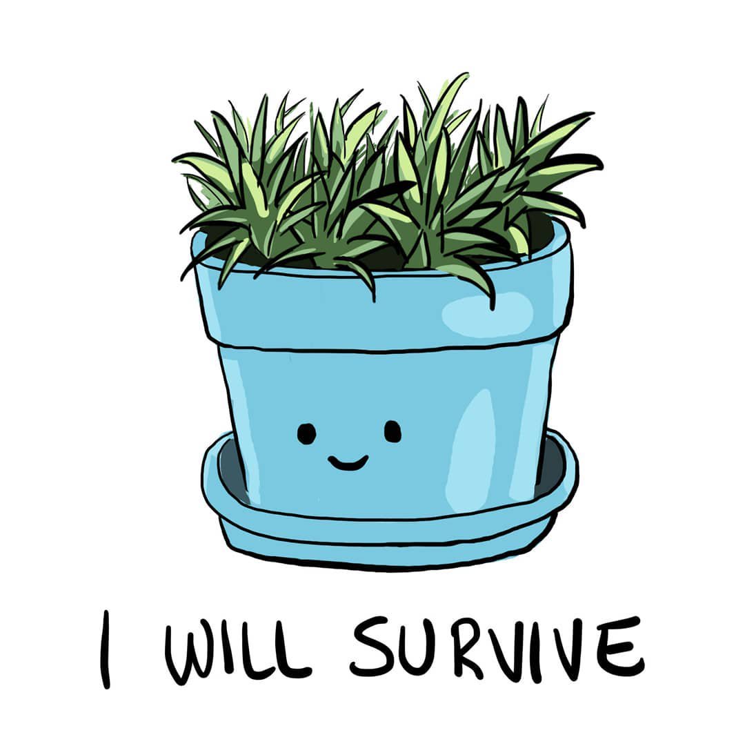 1080x1081 creativelive on twitter get back into the habit of making it