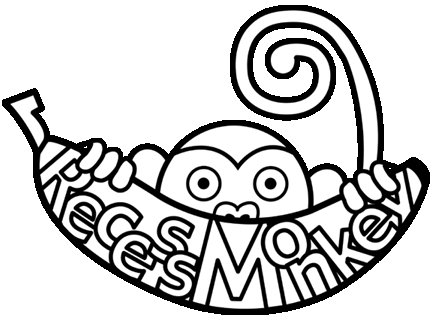 432x319 Recess Monkey Three Elementary Teachers Who Rock!