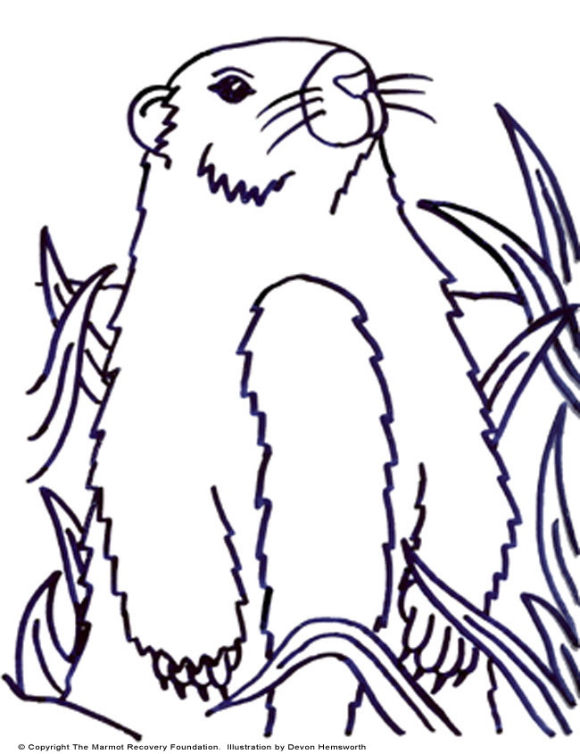 650x845 Colouring Page