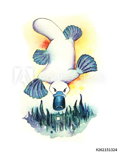 390x500 A White Platypus With Turquoise Flippers Dives To The Bottom
