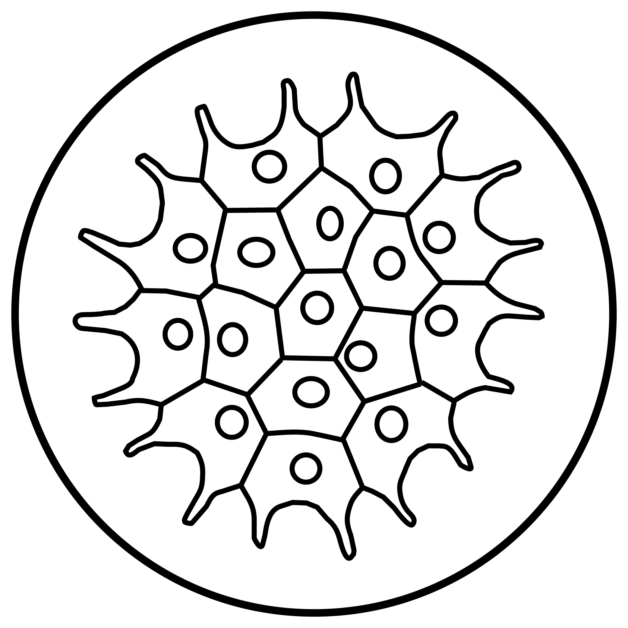 2083x2083 Algae Drawing Free Download