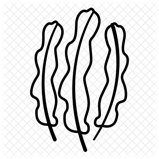 512x512 Collection Of Free Algae Drawing Spirulina Download On Ui Ex