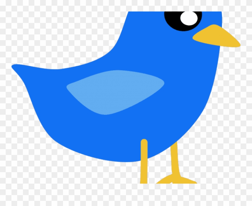 880x718 Free Png Download Red Bird Cartoon Png Images Background