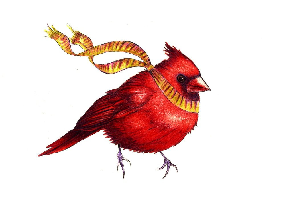 1000x701 Little Red Bird With Scarf Art Print Of An Original Drawing Etsy