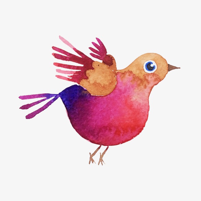 650x650 Red Bird, Bird Clipart, Hand Painted Birds, Drawing Animals Png