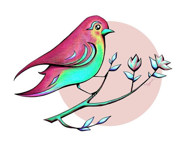 600x463 Red Birds Drawings