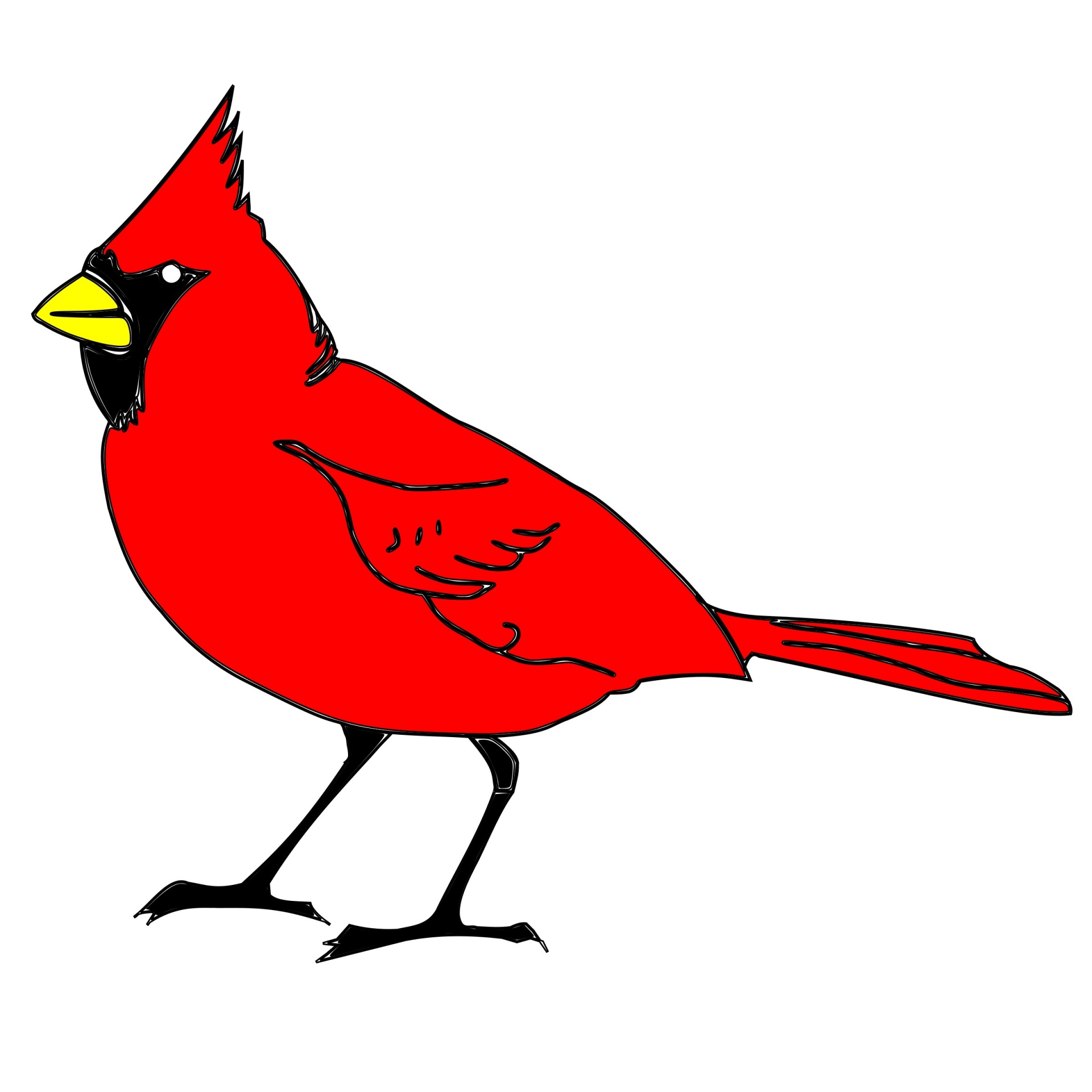 1920x1920 Cardinal, Bird, Art, Clipart, Drawing
