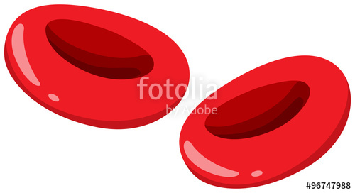 500x272 Close Up Red Blood Cells Stock Image And Royalty Free Vector