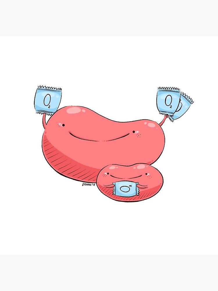 750x1000 Red Blood Cell Photographic Print