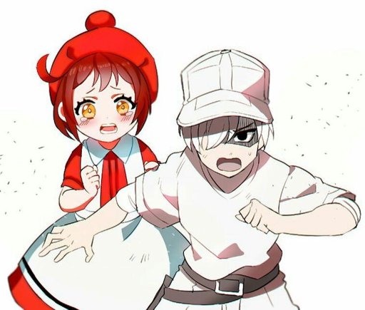 512x435 Red Blood Cell X White Blood Cell As Kids Anime Amino