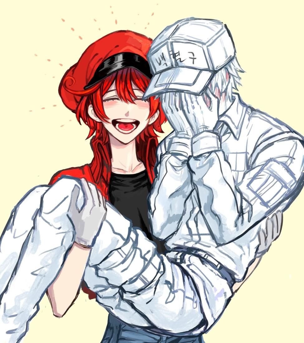 975x1101 Alveoli Fanart Hataraku Saibou Red Blood Cells, Blood Cells