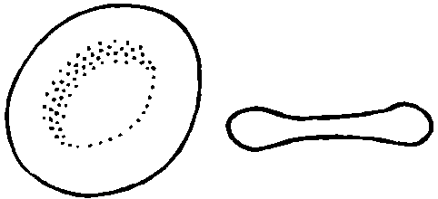 482x220 Basic Malaria Microscopy