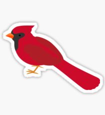 210x230 Cardinal Drawing Gifts Merchandise Redbubble