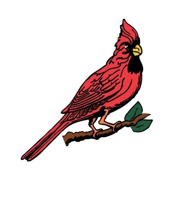 640x682 Cardinal Of Minnesota