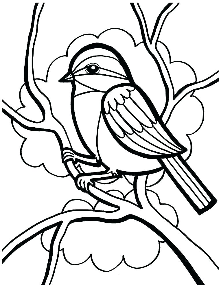 757x985 Coloring Pages Red Cardinal Coloring