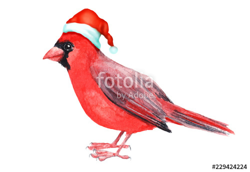 500x345 Merry Christmas Hatted Bird Greeting Decoration Hand Painted Red