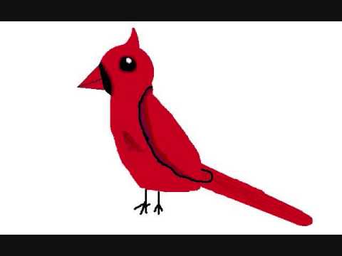 480x360 My Cardinal Drawing
