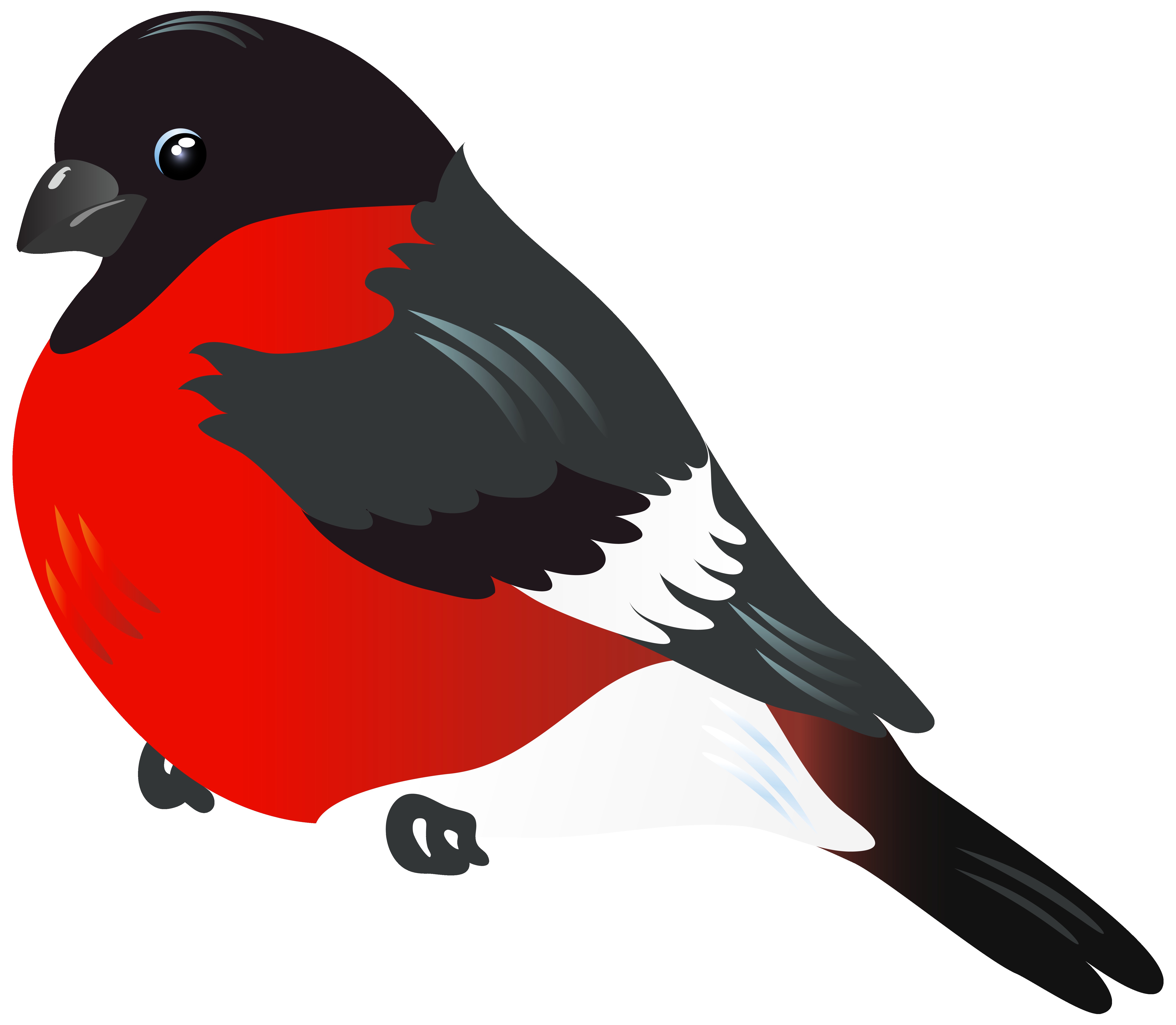 6229x5427 Red Bird Png Clipart Image Png M Red Bird Clipart