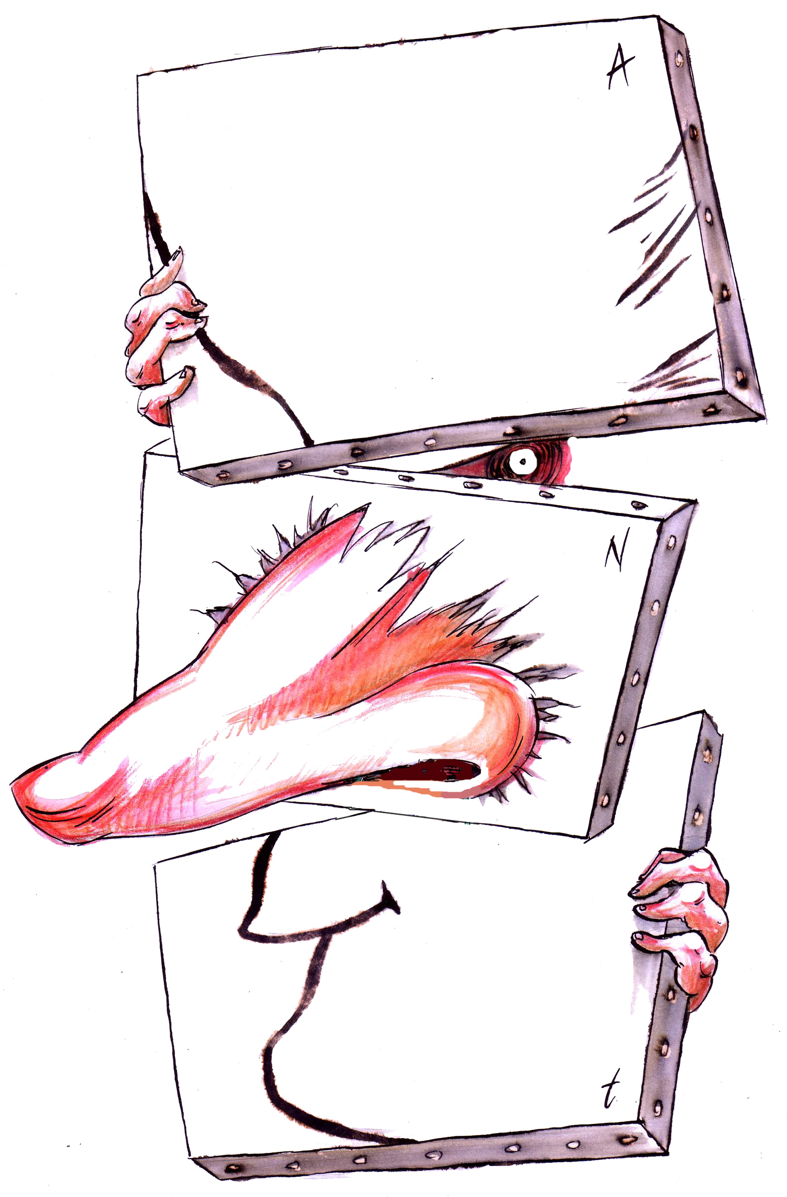 1552x2362 Cartoon Movement