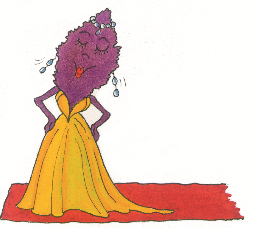 853x768 mustard, 'red carpet' seeds from chiltern seeds