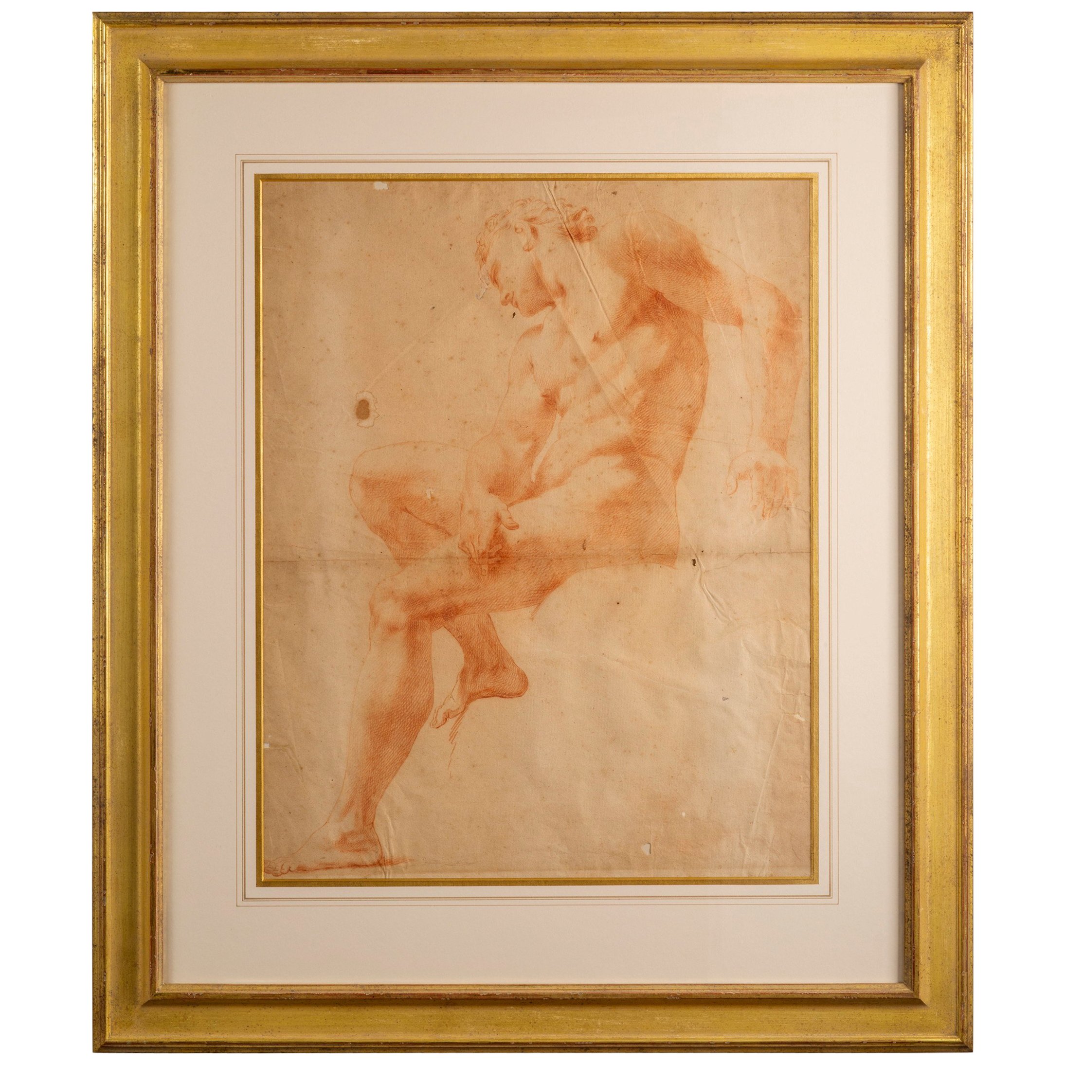 2189x2189 Large Red Chalk Drawing, Century Italian School For Sale