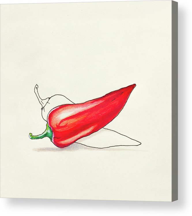 666x750 Sketch Drawing Of Red Hot Pepper Acrylic Print