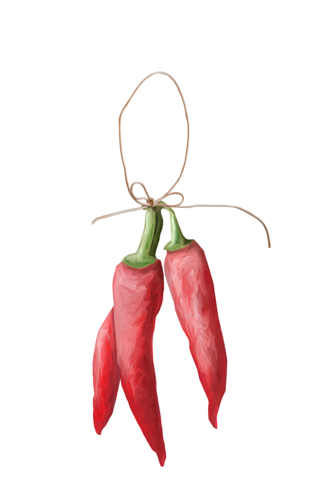650x1024 Chili Drawing Artwork Transparent Png Clipart Free Download