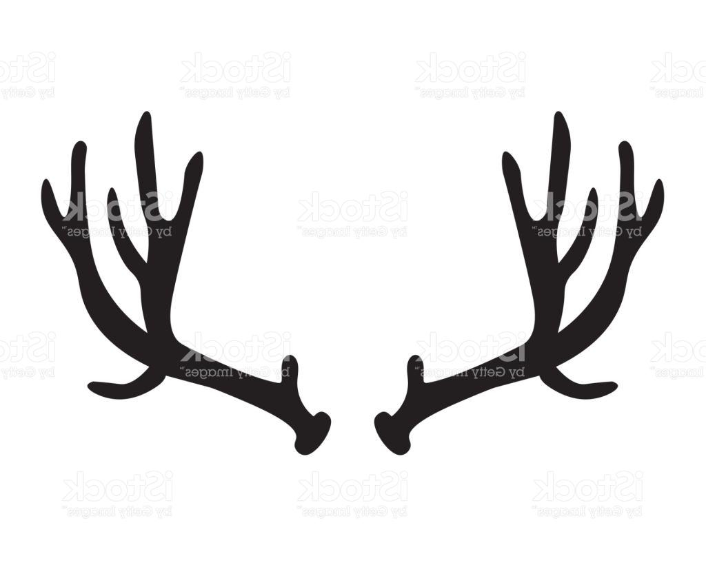 1024x820 Temporary Red Deer Antler Clip Art Elk Deer Png Download