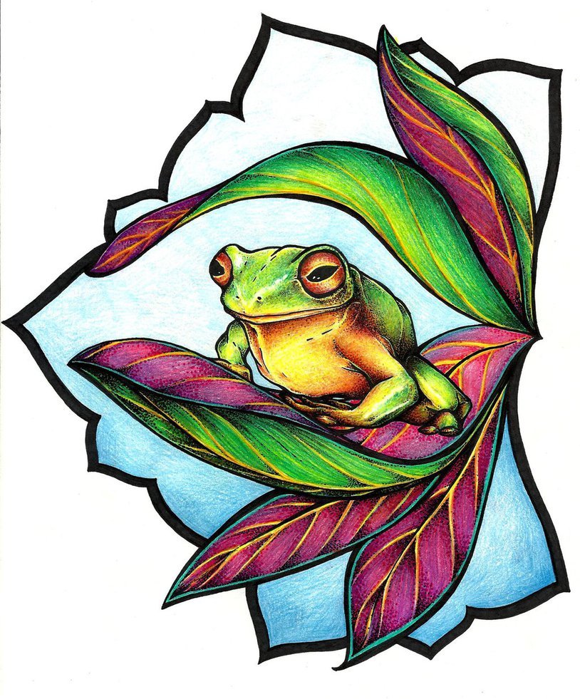 Red Eyed Tree Frog Drawing