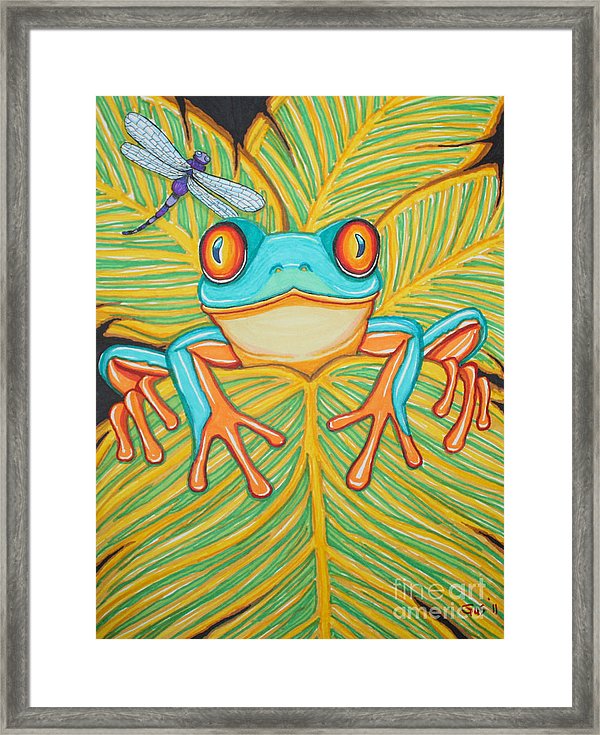 600x735 Red Eyed Tree Frog And Dragonfly Framed Print