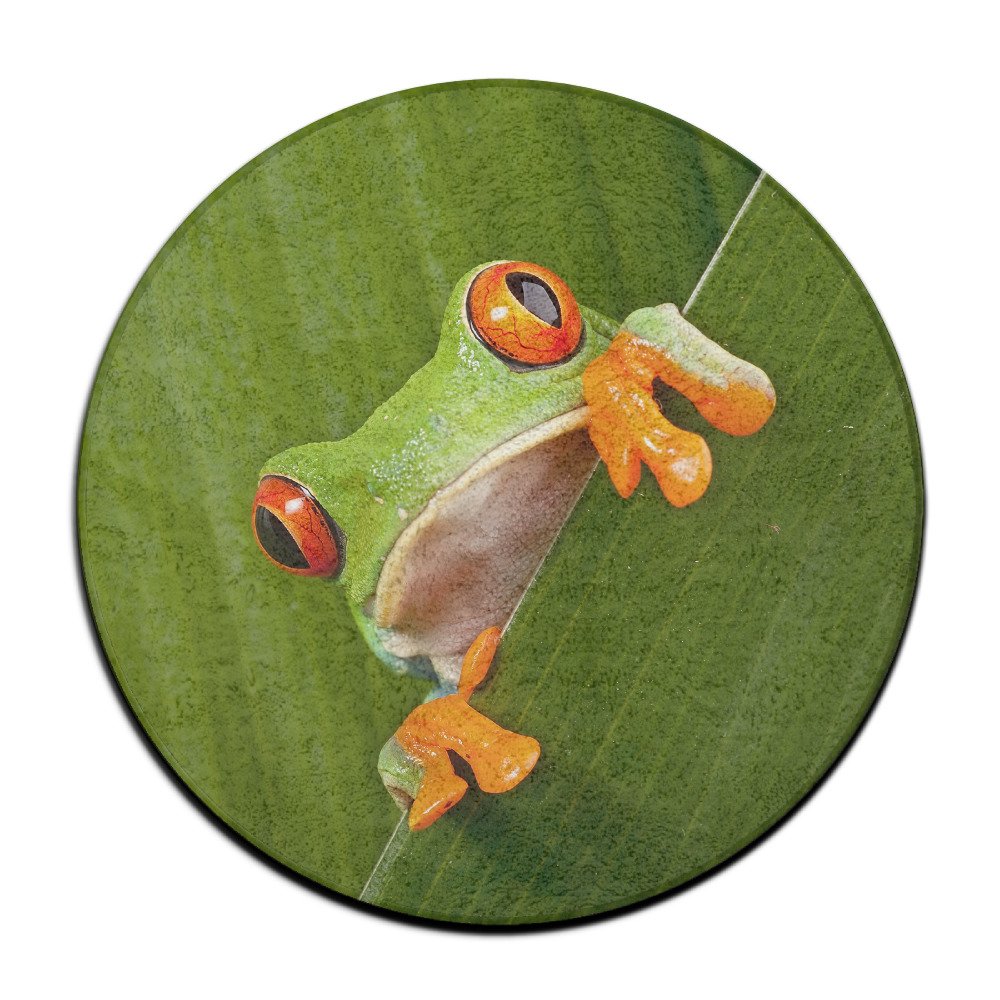 1000x1000 Red Eyed Tree Frog Round Area Floor Mats Entrance