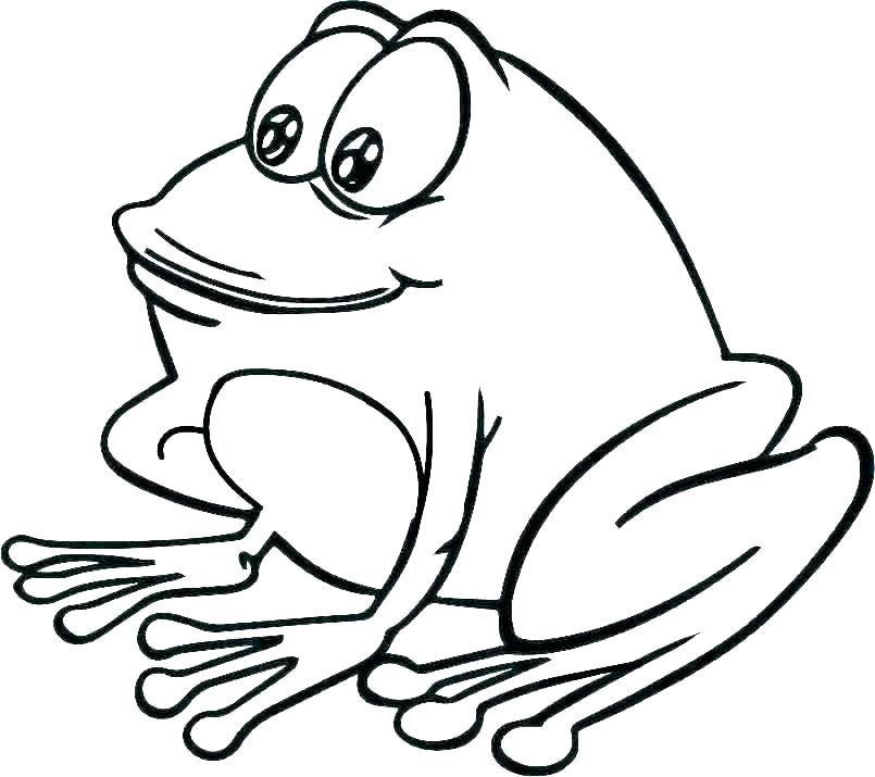 805x715 Tree Frog Printable Coloring Pages