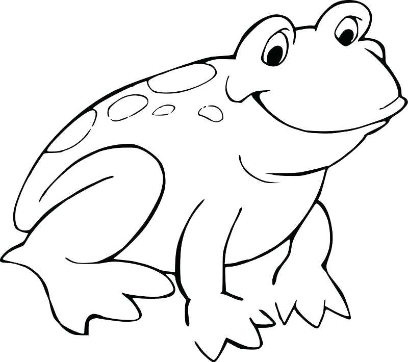 800x710 Free Frog Coloring Pages Frog Coloring Sheet Coloring Pages Draw
