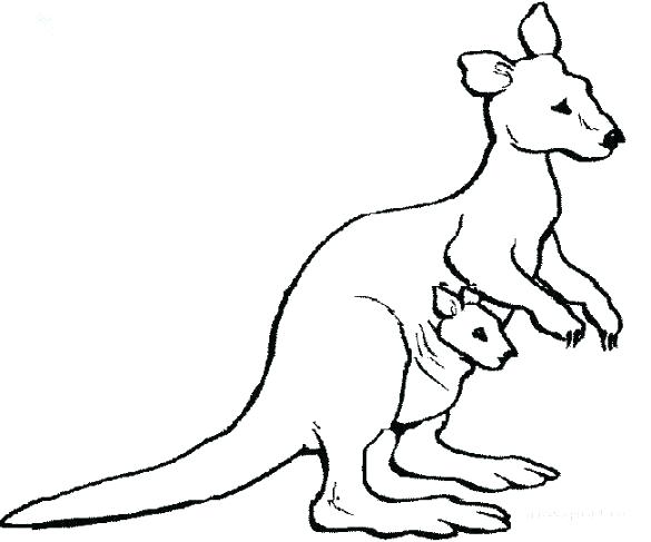 585x487 Kangaroo Coloring