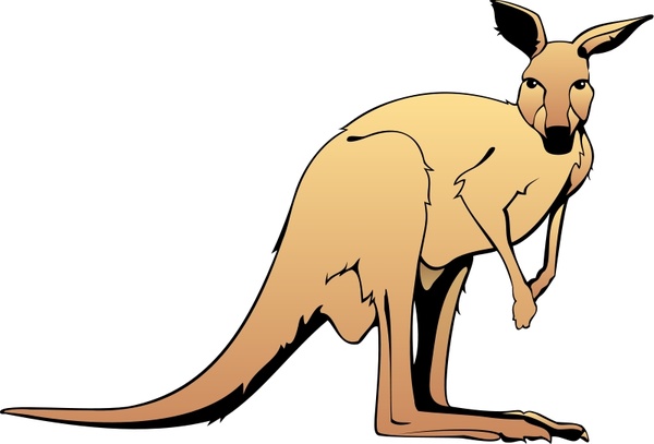 600x407 Kangaroo Free Vector In Open Office Drawing