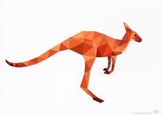 236x167 Polygon Kangaroo