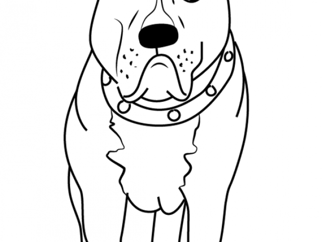 640x480 Free Drawn Pit Bull, Download Free Clip Art