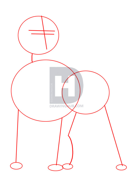 545x720 How To Draw A Pitbull, Step