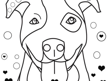 440x330 Pitbull Coloring Pages, Pitbull Coloring Pages Printable