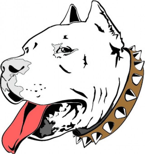 589x626 Pit Bull Clip Art Item Vector Magz Free Download Vector