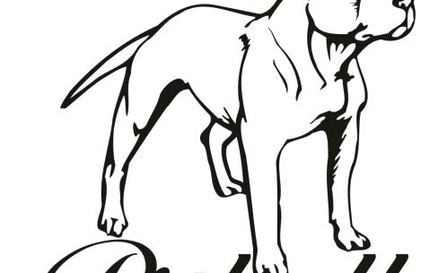 469x304 Pitbull Coloring Pages Line Drawing Pics Pitbull Dog Coloring