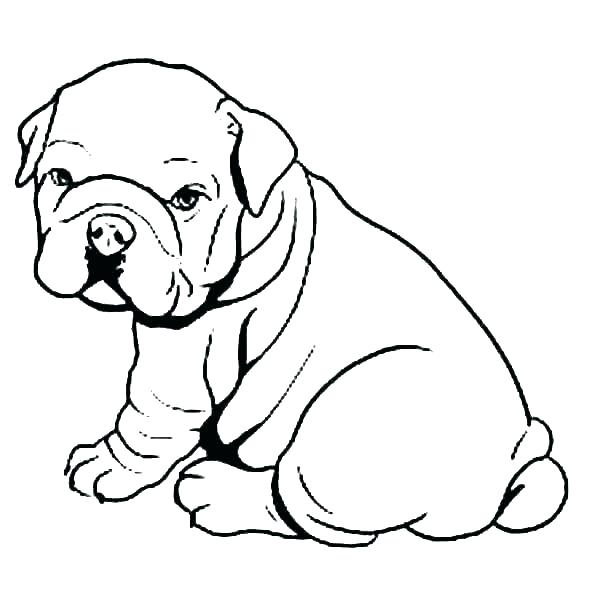 Red Nose Pitbull Drawings | Free download on ClipArtMag